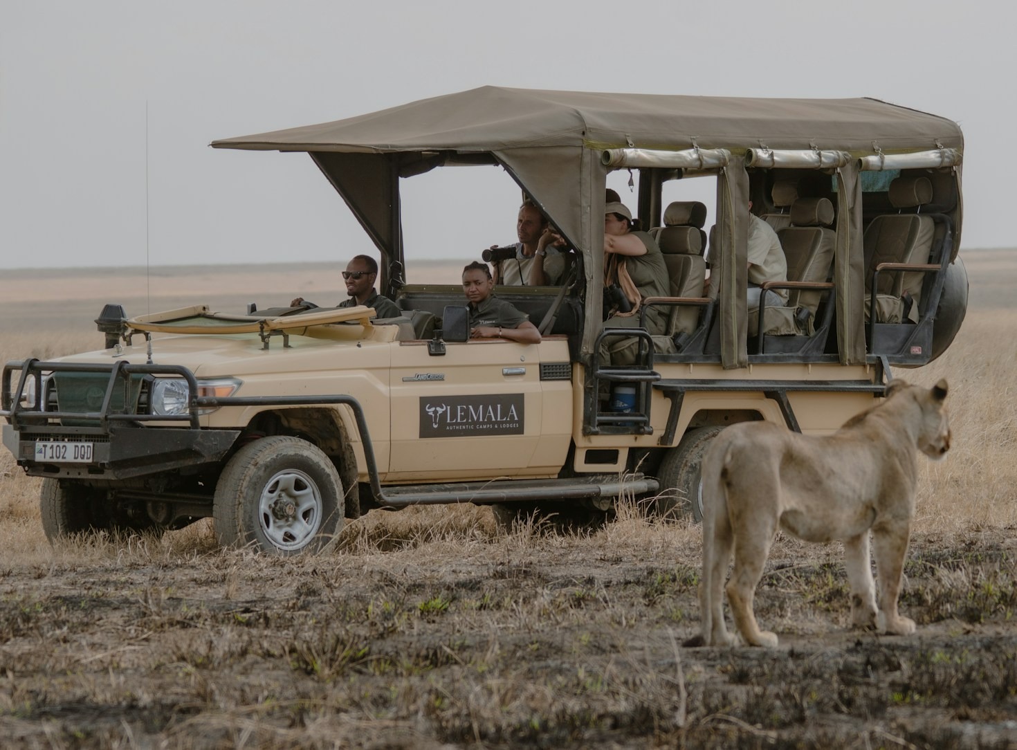 Top Five Must Visit Parks In Tanzania