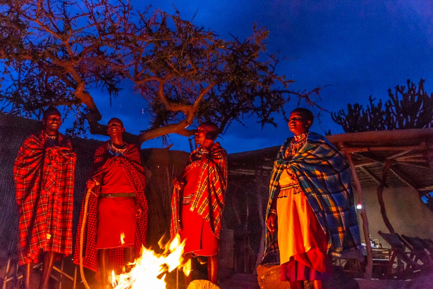 Finding Comfort While Exploring The African Wild